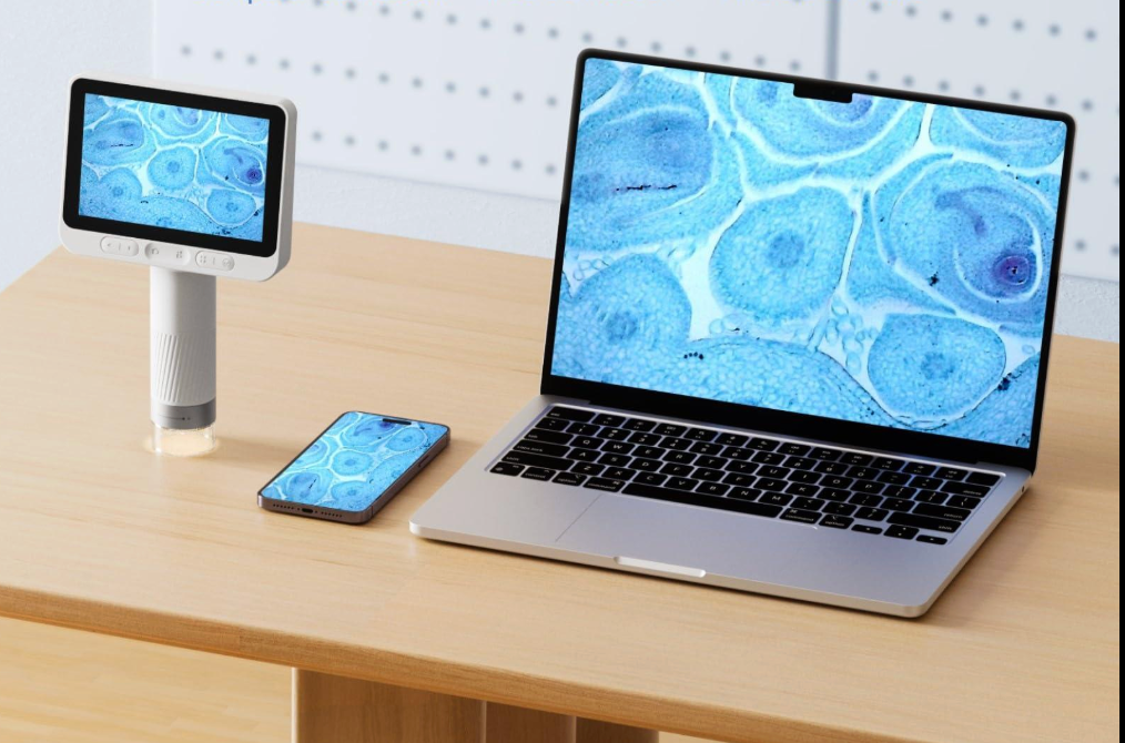 Multi-Platform Connectivity