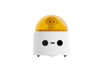 Coding Set Series