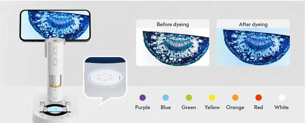 7-Color Intelligent Coloring
