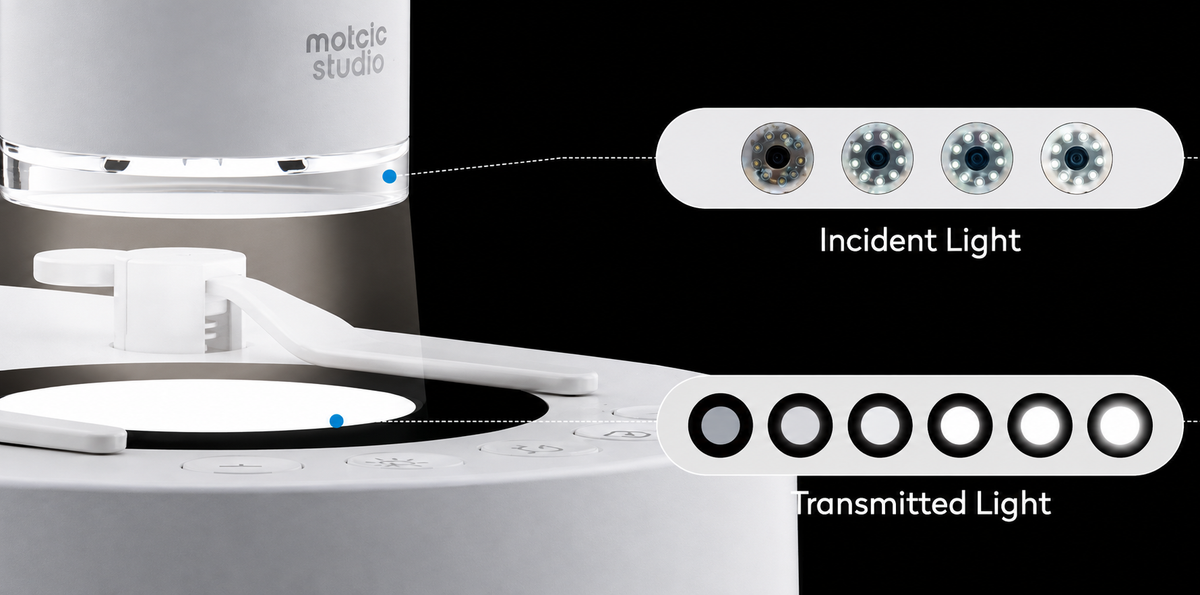 Dual LED Light Sources