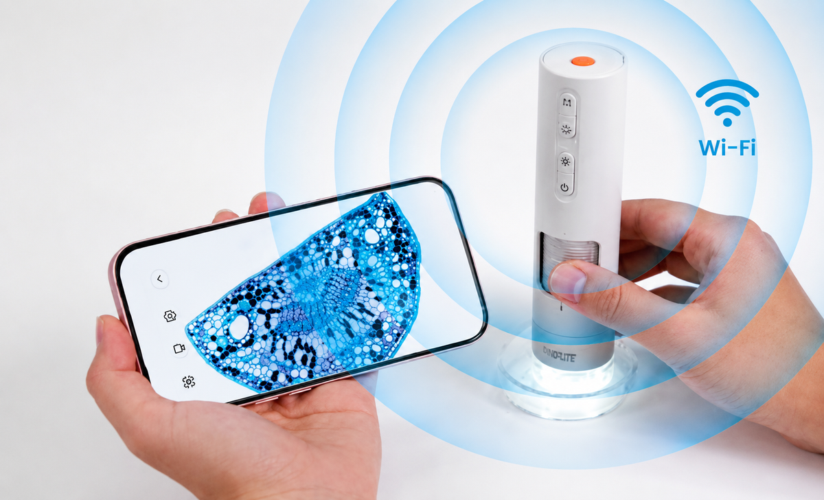 Wireless Live Viewing