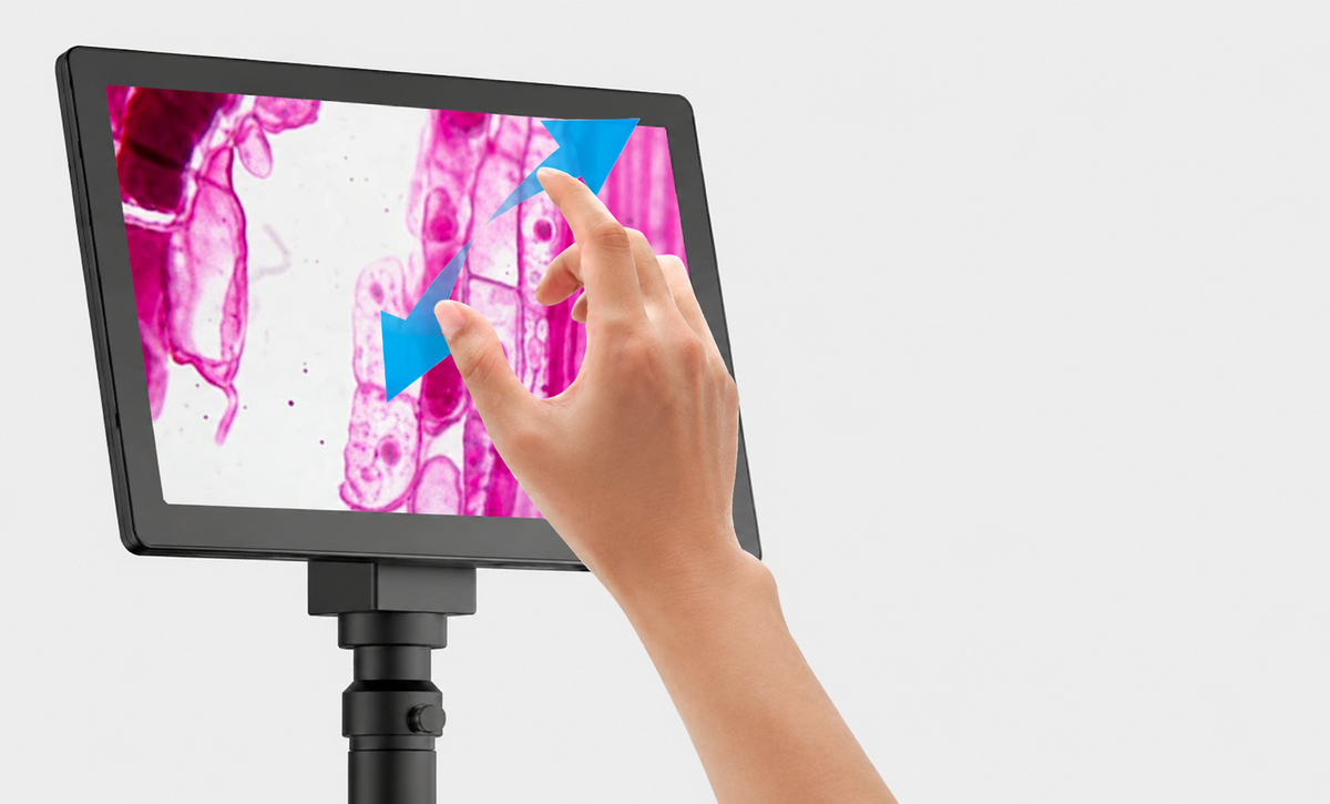 10.1″ IPS Touchscreen