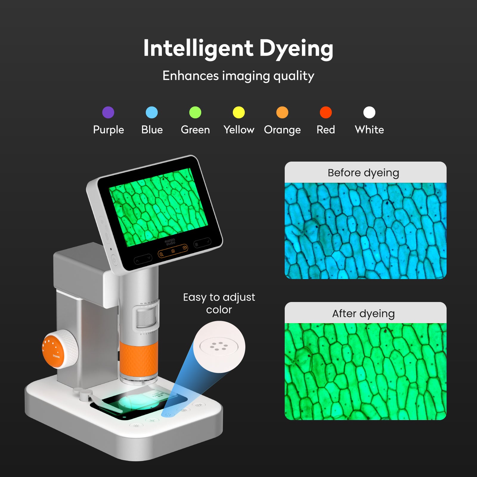 Matatastudio MX2-AS Digital Microscope - Matatalab
