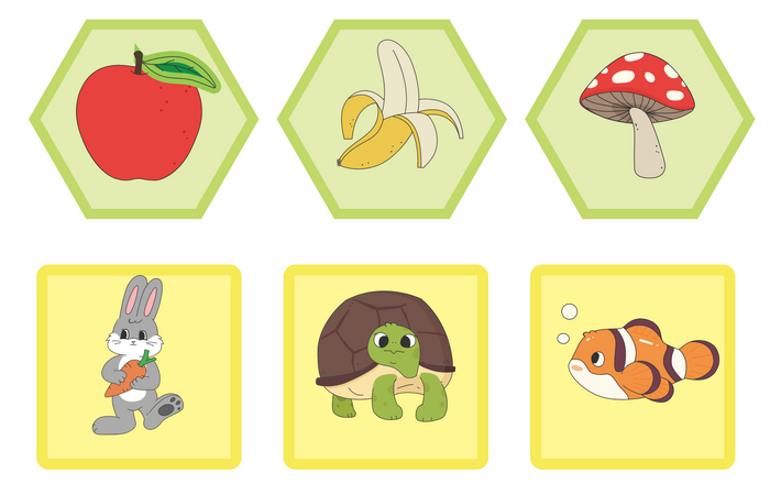 Card x6