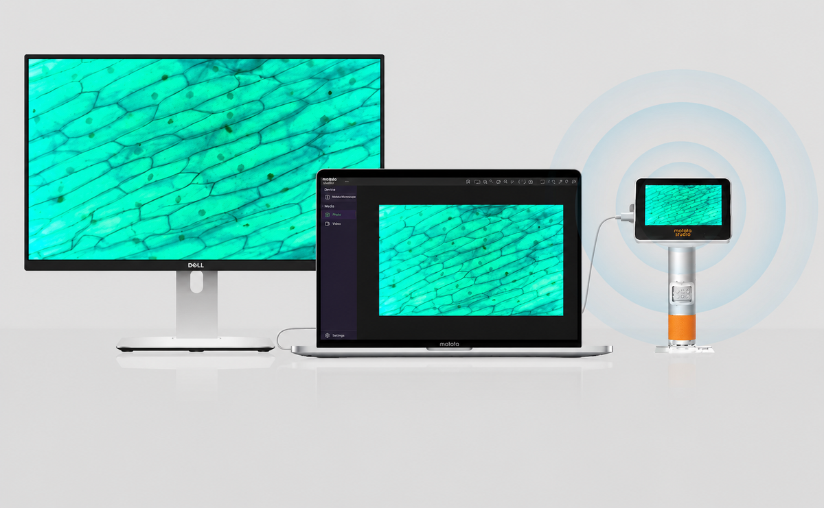 Up to 1,000× Digital Magnification